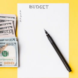 Budget Blunder Thumbnail