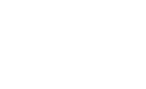 white money pass logo